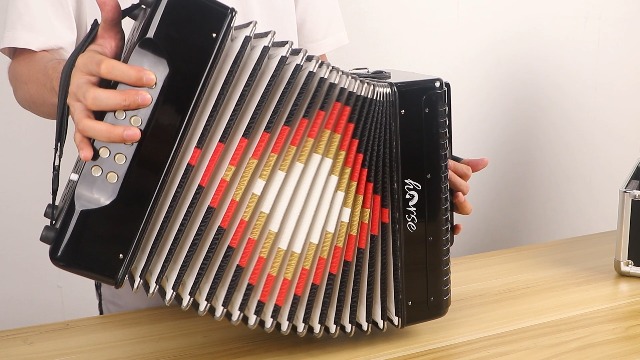 Amazon.com: 31-Key Diatonic Accordion 12 Bass G/C/F 3-Row